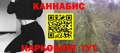 крисы Обнинск