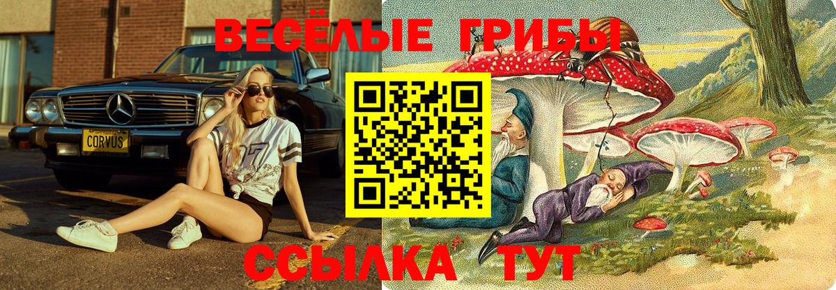 Псилоцибиновые грибы MAGIC MUSHROOMS  Галлюциногенные грибы Cubensis  Вход с VPN  Ярцево 